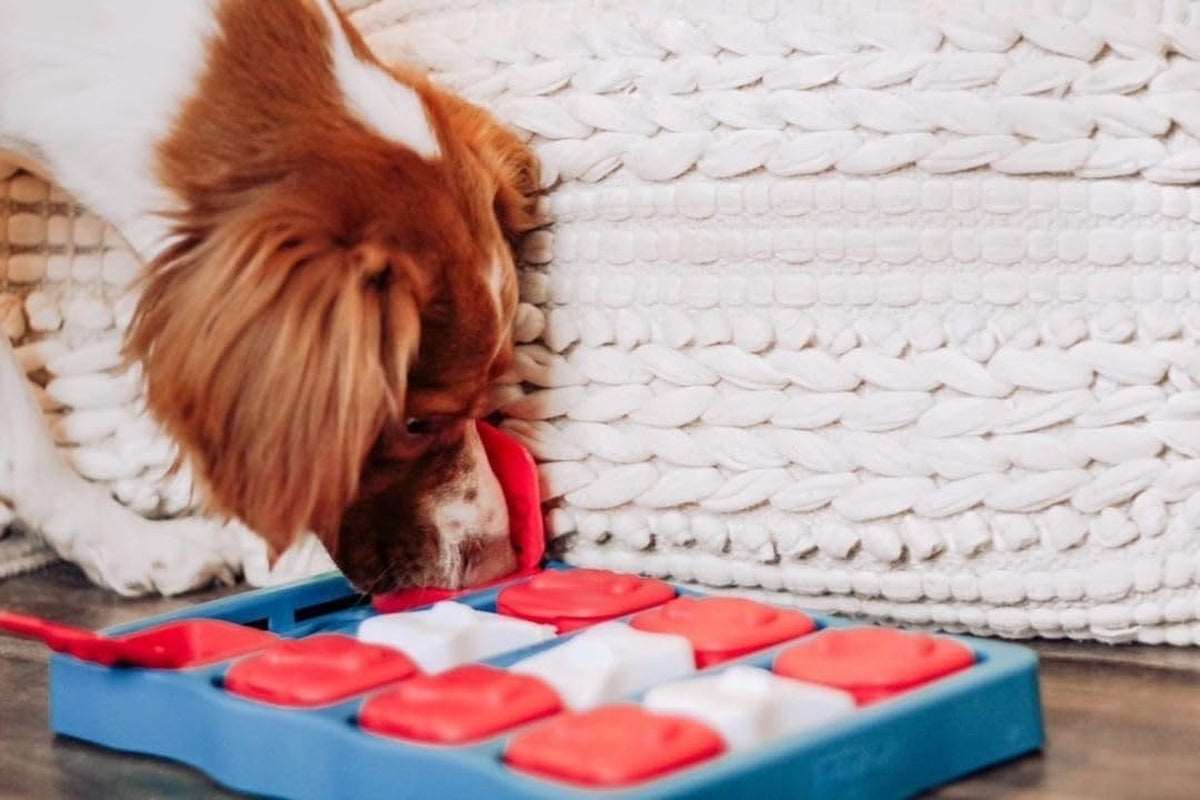  Dog Brick Interactive Treat Puzzle Toy