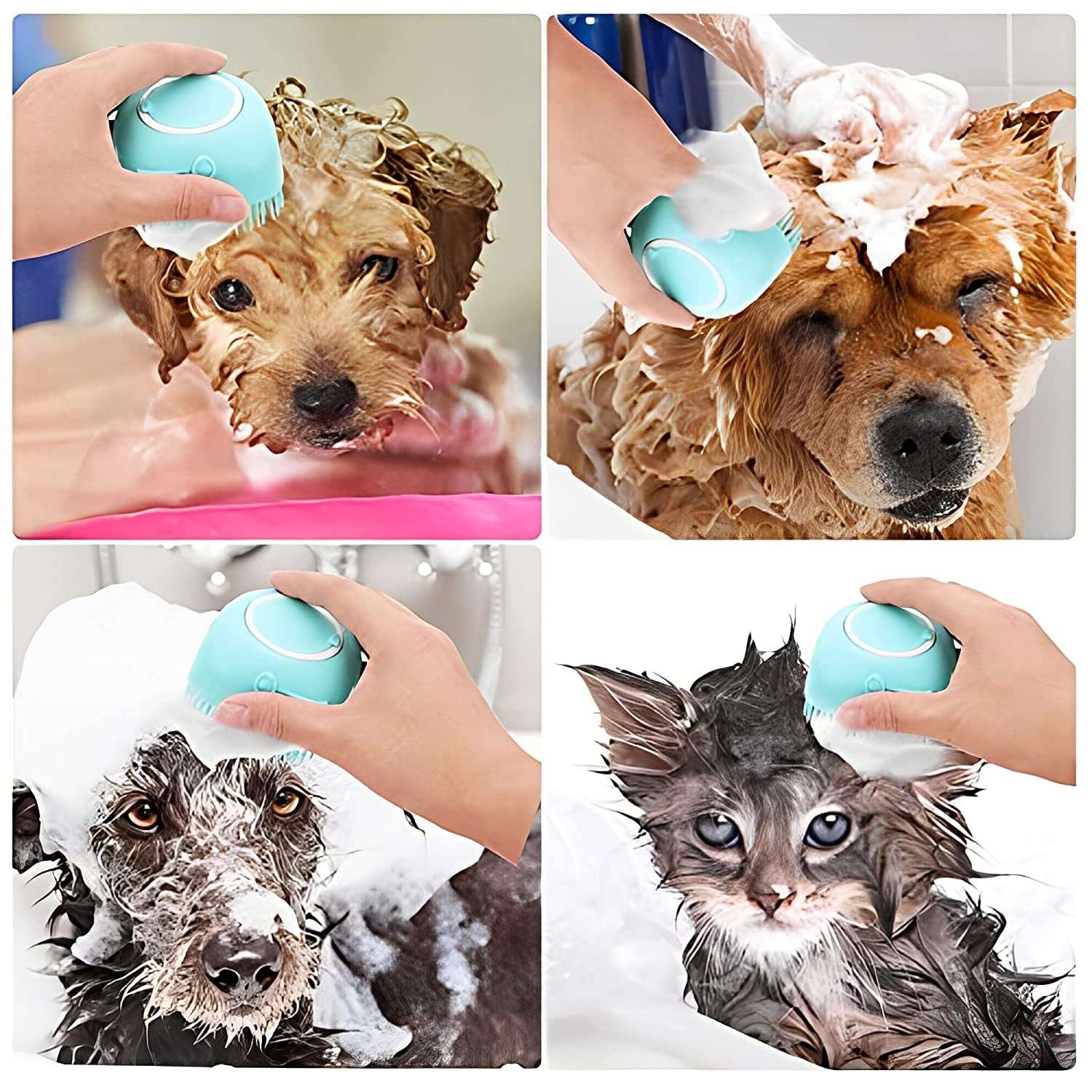 Dog Bath Brush Comb Silicone Rubber,  Shampoo Dispenser (Blue)