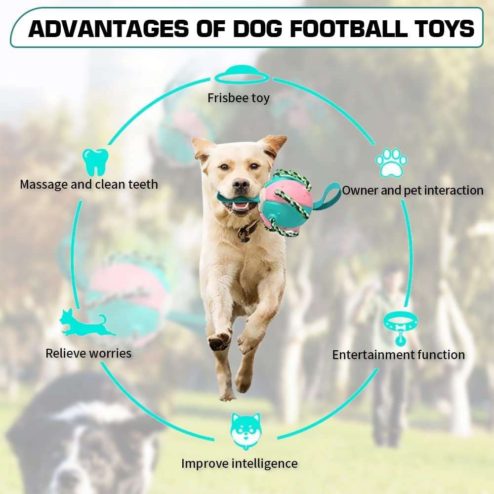 Dog Soccer Toys, Water Interactive Toys 