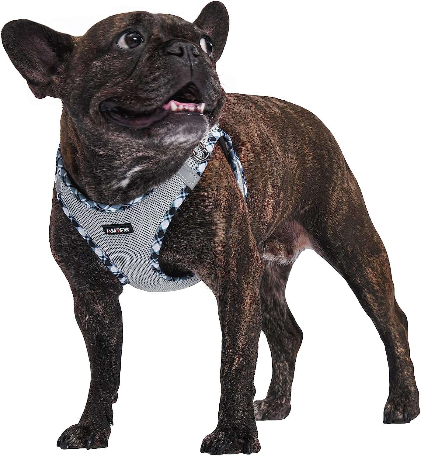 Dog Harness with Leash Set