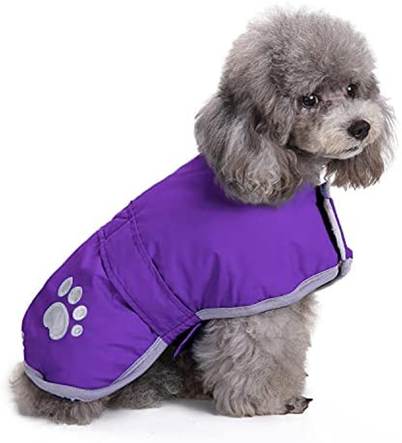  Dog Coats Loft Reversible Winter Fleece