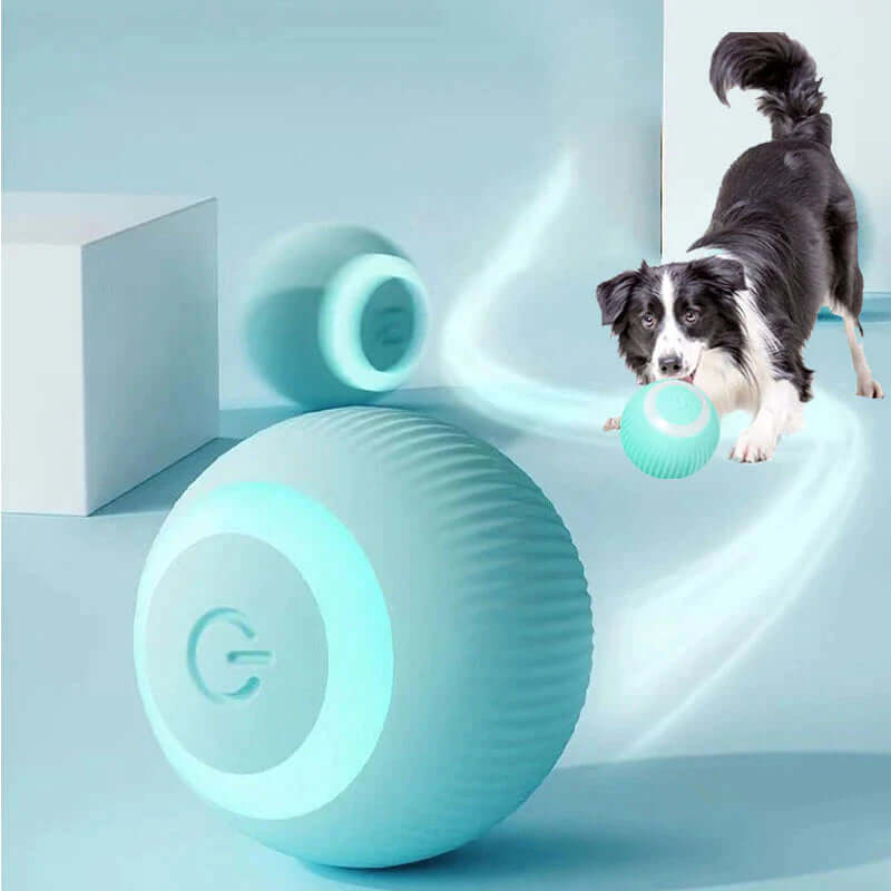 Electric Dog Toys Smart for Small Dogs