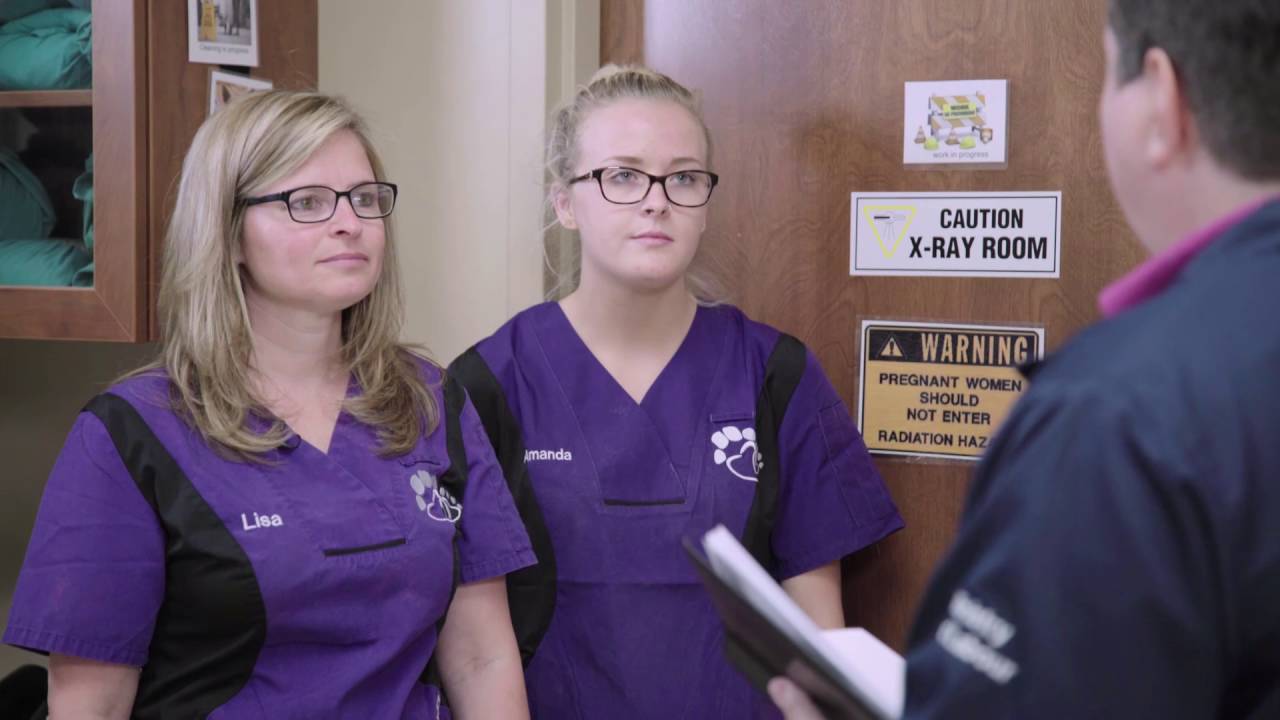 Health and Safety in a Veterinary Clinic | La santé et la sécurité dans une clinique vétérinaire