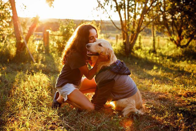 Give Your Pet Care Using These Tips