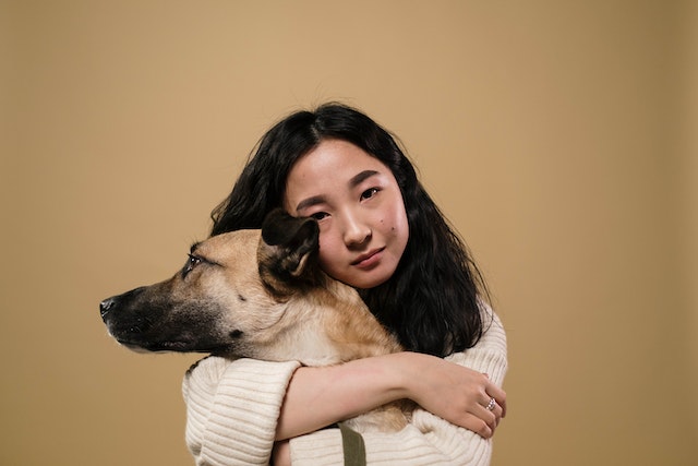 Overcoming fears with confidence – socializing a rescue dog