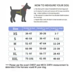 Custom Dog Harness Vest NO PULL Breathable Reflective - Image 6