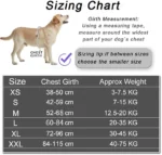 Dog Harness NO PULL Reflective Breathable Adjustable Pet - Image 6