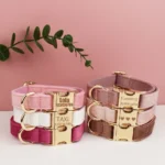 Collar Free Engrave Dog Collar Leash For Medium Big Pet