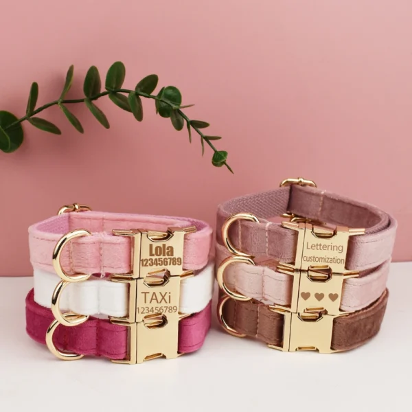 Collar Free Engrave Dog Collar Leash For Medium Big Pet