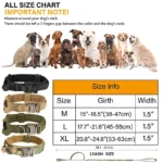 Durable Tactical Dog Collar Leash Set Adjustable Military Pet - Image 3