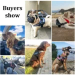 Custom Dog Harness Vest NO PULL Breathable Reflective - Image 5